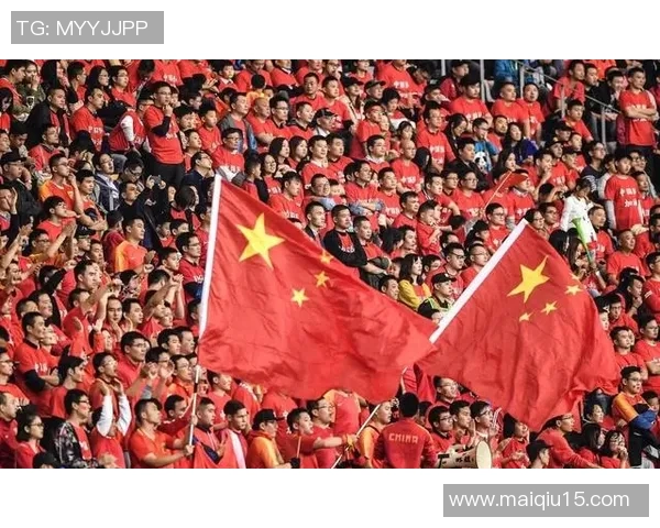 南京足球队的崛起之路世界杯预选赛背后的成长与奋斗故事